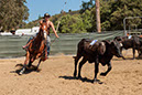 %_tempFileNameVPR_cow_sorting_June_2024-104%