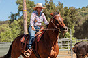 %_tempFileNameVPR_cow_sorting_June_2024-109%