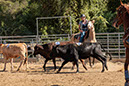 %_tempFileNameVPR_cow_sorting_June_2024-112%