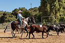 %_tempFileNameVPR_cow_sorting_June_2024-116%