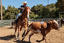 %_tempFileNameVPR_cow_sorting_June_2024-119%