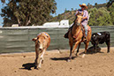 %_tempFileNameVPR_cow_sorting_June_2024-120%