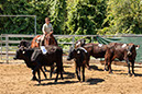 %_tempFileNameVPR_cow_sorting_June_2024-2%