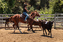 %_tempFileNameVPR_cow_sorting_June_2024-20%