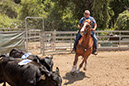 %_tempFileNameVPR_cow_sorting_June_2024-24%