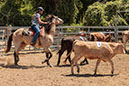 %_tempFileNameVPR_cow_sorting_June_2024-25%