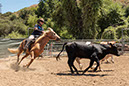 %_tempFileNameVPR_cow_sorting_June_2024-28%