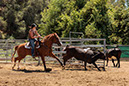 %_tempFileNameVPR_cow_sorting_June_2024-29%