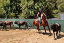%_tempFileNameVPR_cow_sorting_June_2024-3%