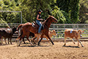 %_tempFileNameVPR_cow_sorting_June_2024-30%