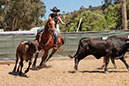 %_tempFileNameVPR_cow_sorting_June_2024-46%