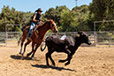 %_tempFileNameVPR_cow_sorting_June_2024-51%