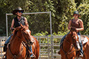 %_tempFileNameVPR_cow_sorting_June_2024-52%