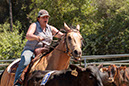 %_tempFileNameVPR_cow_sorting_June_2024-54%