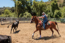 %_tempFileNameVPR_cow_sorting_June_2024-6%