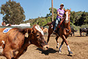 %_tempFileNameVPR_cow_sorting_June_2024-64%