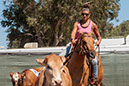 %_tempFileNameVPR_cow_sorting_June_2024-71%