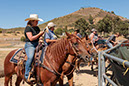 %_tempFileNameVPR_cow_sorting_June_2024-78%