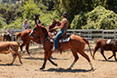 %_tempFileNameVPR_cow_sorting_June_2024-8%