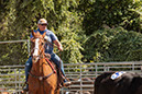 %_tempFileNameVPR_cow_sorting_June_2024-81%