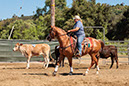 %_tempFileNameVPR_cow_sorting_June_2024-82%