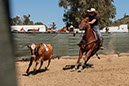 %_tempFileNameVPR_cow_sorting_June_2024-87%