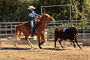 %_tempFileNameVPR_cow_sorting_June_2024-92%