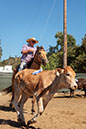 %_tempFileNameVPR_cow_sorting_June_2024-121%