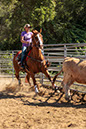 %_tempFileNameVPR_cow_sorting_June_2024-122%