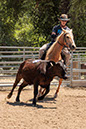%_tempFileNameVPR_cow_sorting_June_2024-27%