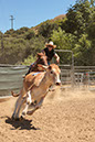 %_tempFileNameVPR_cow_sorting_June_2024-39%