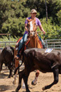 %_tempFileNameVPR_cow_sorting_June_2024-41%