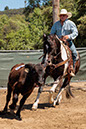 %_tempFileNameVPR_cow_sorting_June_2024-67%