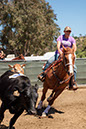 %_tempFileNameVPR_cow_sorting_June_2024-69%