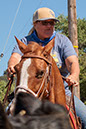 %_tempFileNameVPR_cow_sorting_June_2024-83%