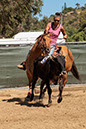 %_tempFileNameVPR_cow_sorting_June_2024-88%