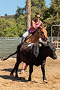 %_tempFileNameVPR_cow_sorting_June_2024-90%