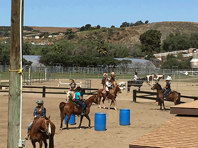 2019 VPR Obstacle Challenge